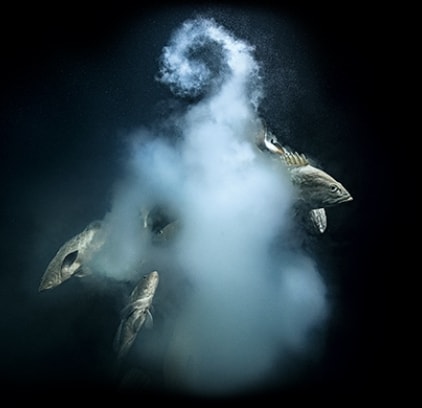 Blancpain_Brandpage2